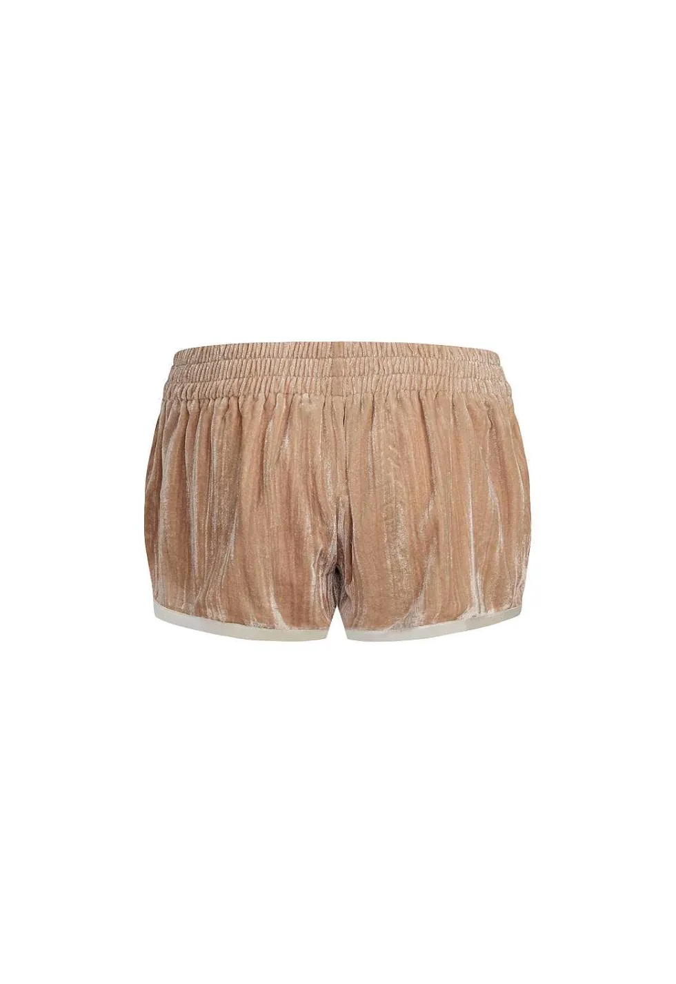 Lioness Stallion Short Cheap